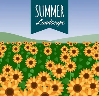 卡通向日葵图片