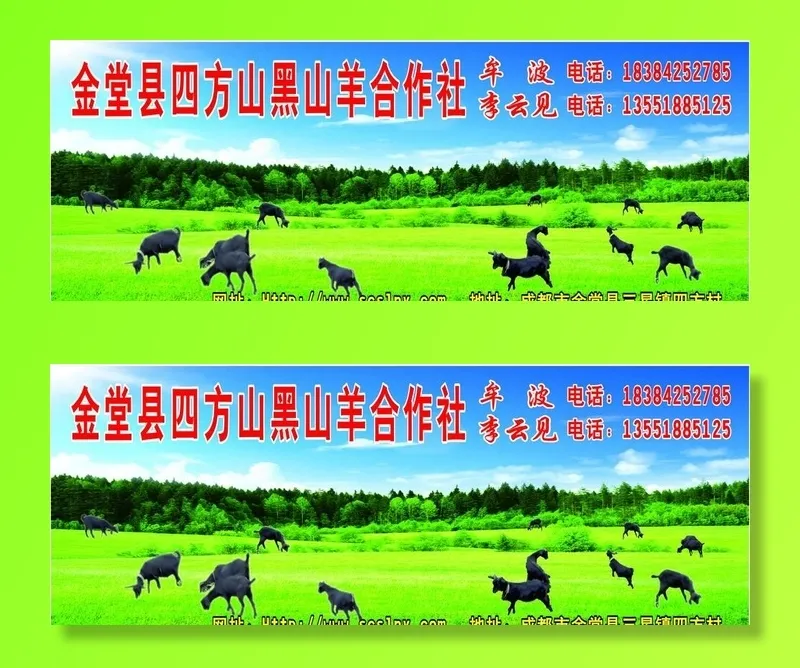 黑山羊图片cdr矢量模版下载