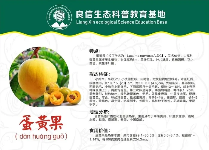 植物介绍牌图片cdr矢量模版下载