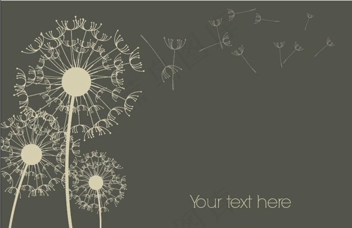 蒲公英矢量背景图片