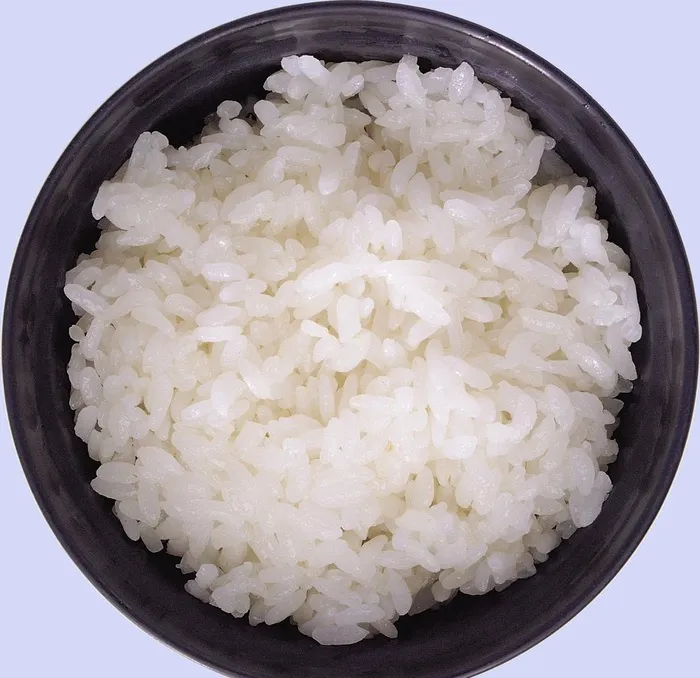 米饭图片(2400x2400)psd模版下载