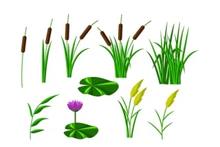 卡通手绘狗尾巴草 植物图片