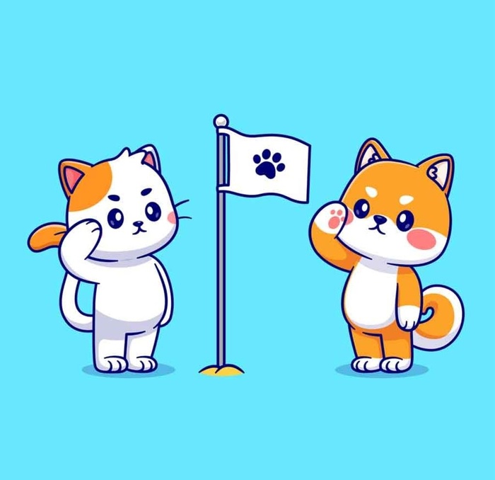 小猫图片