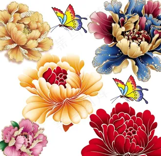 牡丹或 芙蓉花 适量花 蝴蝶图片 牡丹或 芙蓉花 适量花 蝴蝶图片