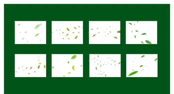 叶子图片(3543x4724)psd模版下载