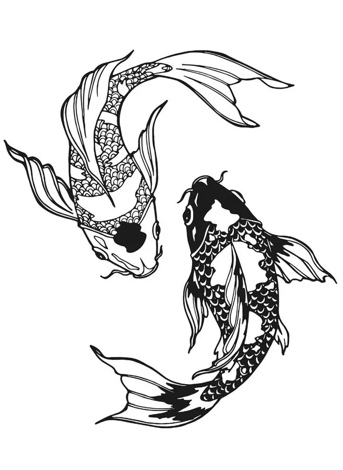 锦鲤图片ai矢量模版下载