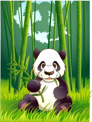 熊猫图片