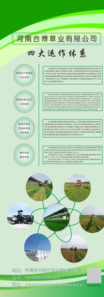 易拉宝  展架   绿色展架图片cdr矢量模版下载