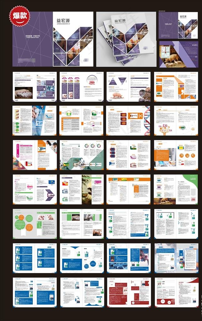 兽药画册图片cdr矢量模版下载
