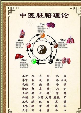 中医脏腑理论展板图片