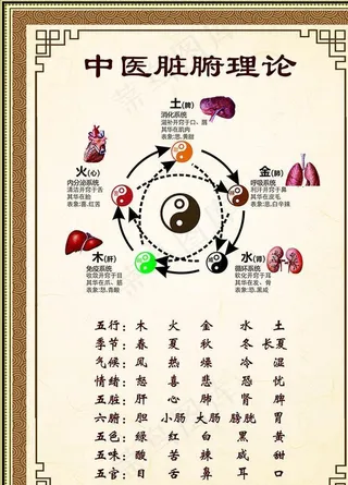 中医脏腑理论展板图片
