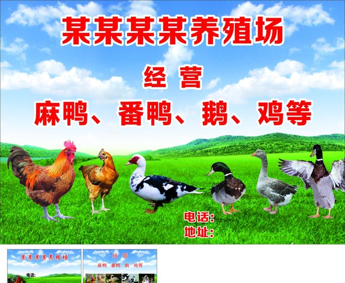 鸡鸭养殖场图片