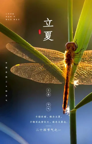 立夏节气传统活动宣传海报素材图片