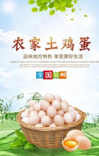 土鸡蛋海报图片
