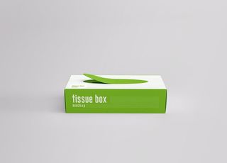 抽纸盒样机图片