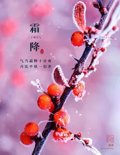 霜降图片