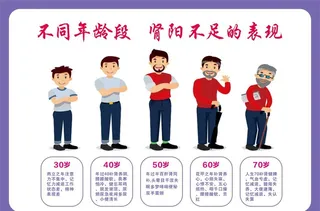 不同年龄段   肾阳不足的表现图片