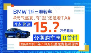 BMW 1系 车顶牌图片