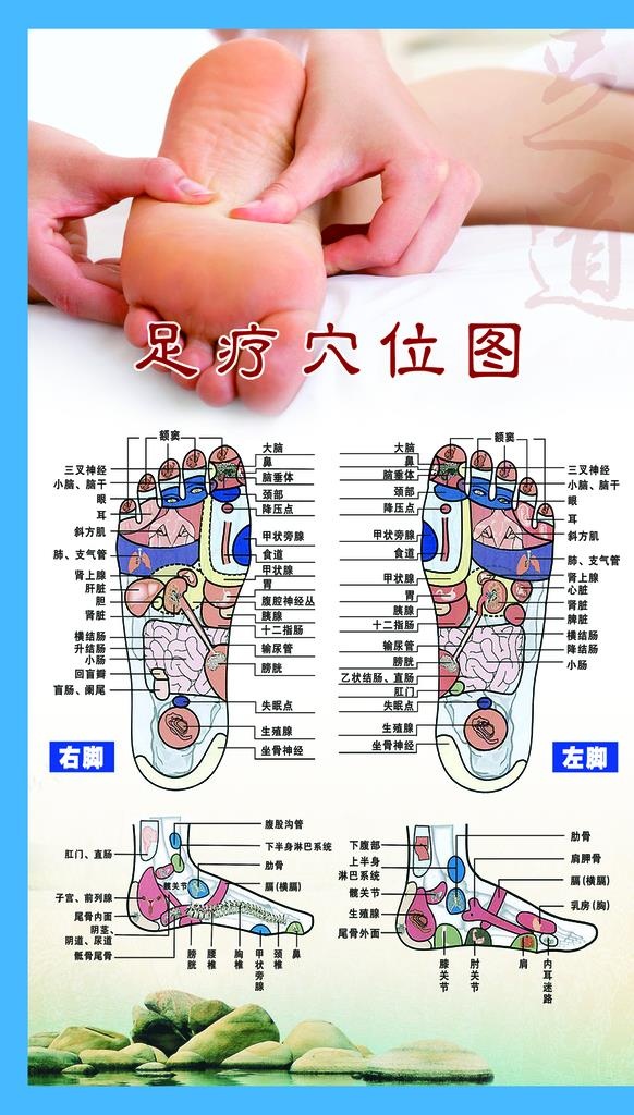 足疗穴位图图片(1701x2835)psd模版下载