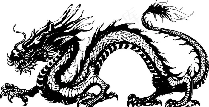 龙图片ai矢量模版下载