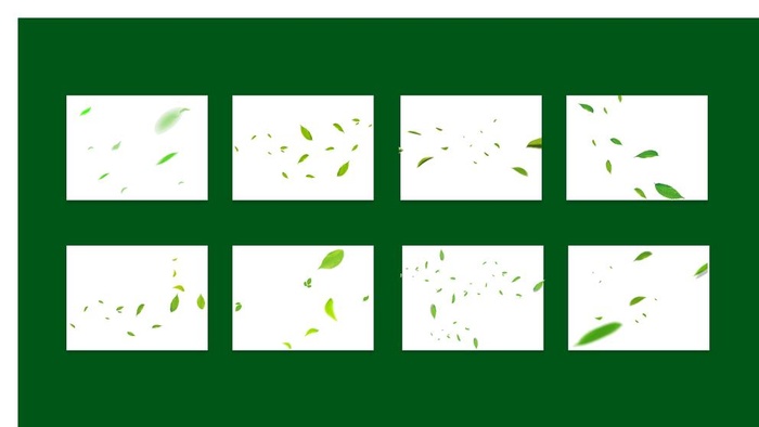 叶子树叶花瓣素材图片