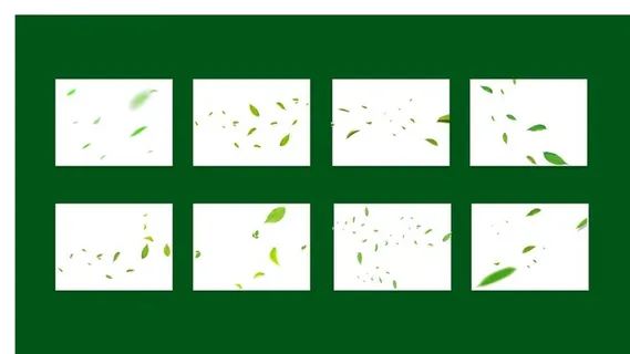 叶子树叶花瓣素材图片