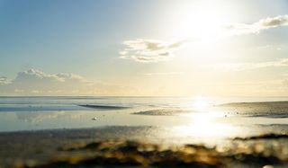 太阳             图片