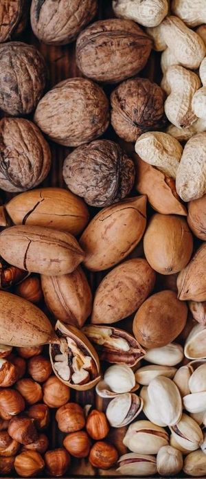 坚果图片