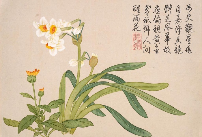 钱维城金盏风华花卉图册图片(4799x3411)