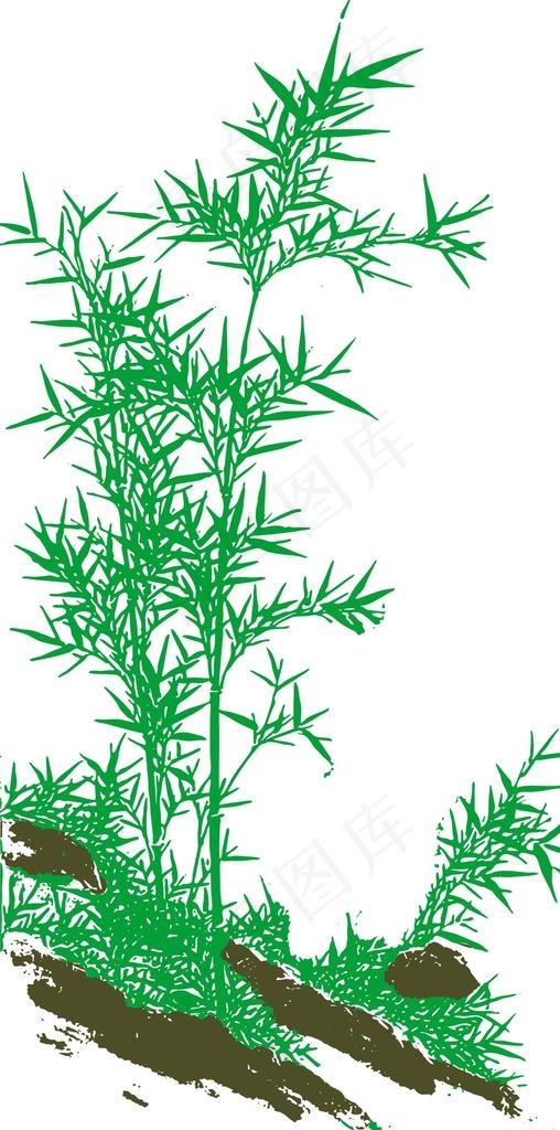 竹子图片