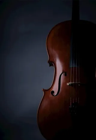 黑色背景大提琴图片