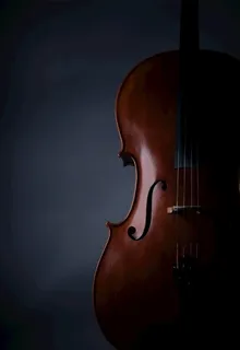 黑色背景大提琴图片 黑色背景大提琴图片