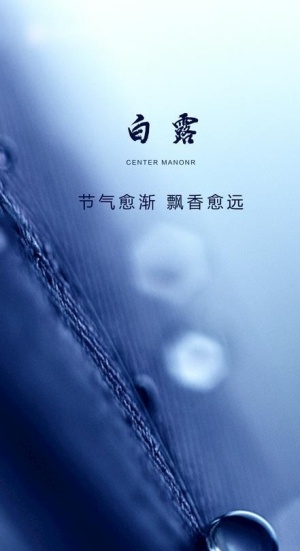 白露图片