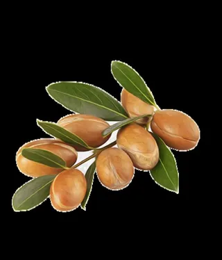 阿甘油 坚果油 摩洛哥 液体黄图片