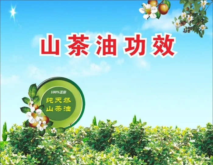 山茶油功效展板图片cdr矢量模版下载