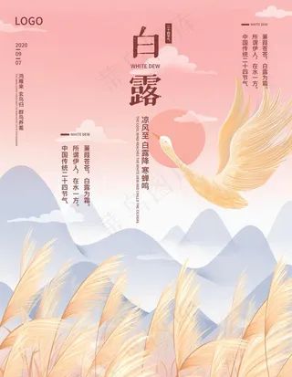白露海报 白露单张 白露展板图片