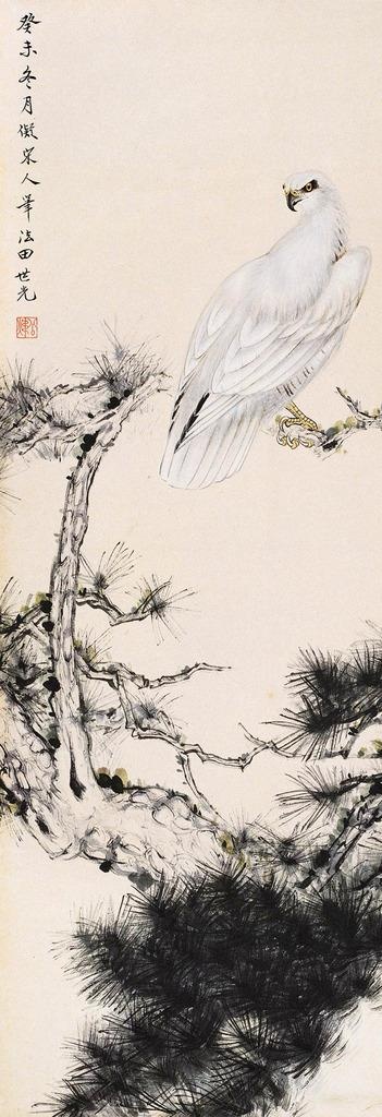 苍鸟图片