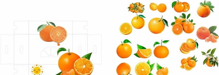 包装沃柑桔子元素图片cdr矢量模版下载