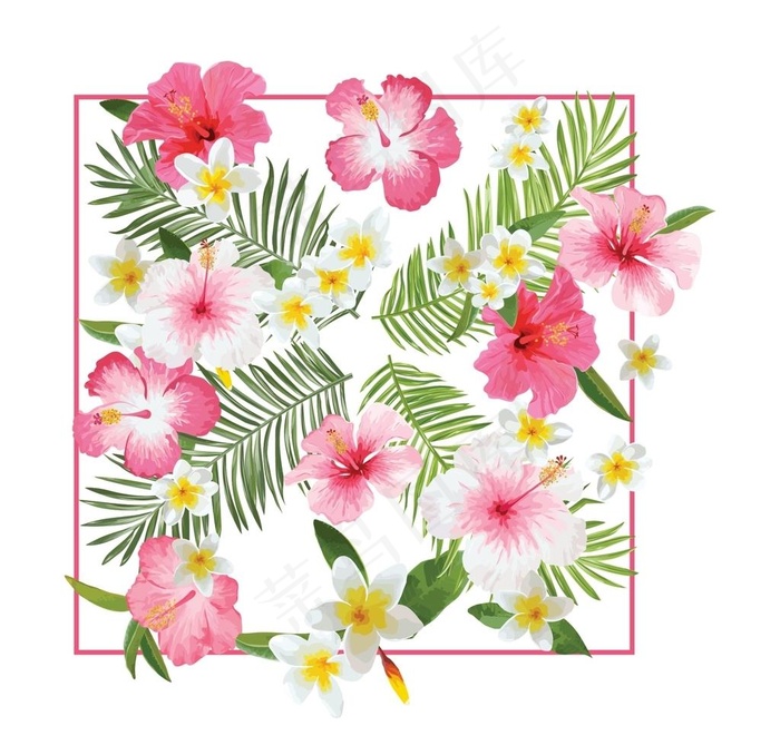 矢量花朵素材 图片