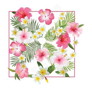 矢量花朵素材 图片