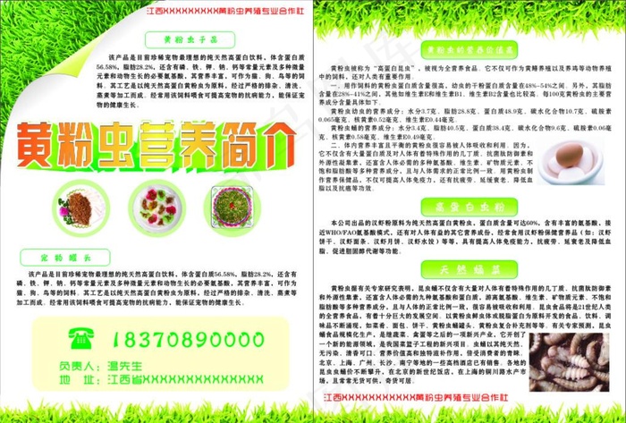 黄粉虫营养价值图片cdr矢量模版下载