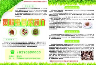 黄粉虫营养价值图片