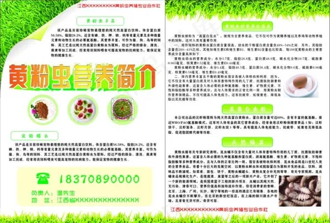 黄粉虫营养价值图片 黄粉虫营养价值图片