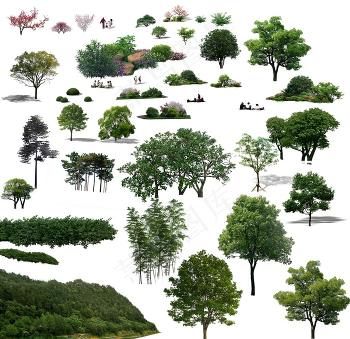 免抠树图片