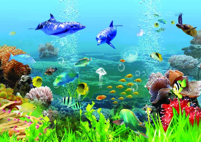 鱼缸背景图片