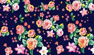 花卉背景图图片