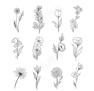 单色花轮廓图片