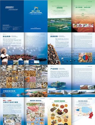 烟台大季家宣传画册图片