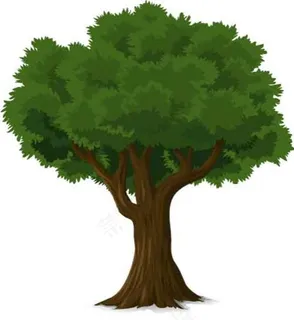 大树矢量素材图片