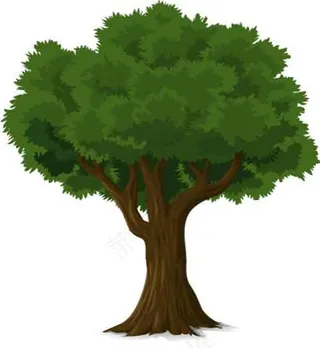 大树矢量素材图片
